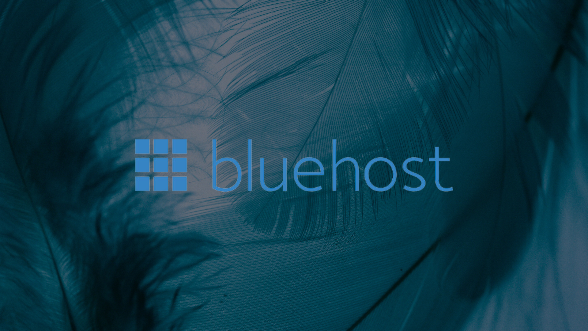 bluehost at hiremystudios